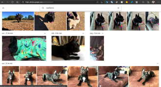 ¿Cómo migrar fotos y videos de iCloud a Google Photos?