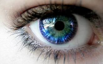 Google podría lanzar función que identifique tu salud a través de la foto del iris