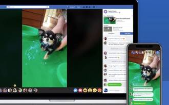 Watch Party, la nueva función de Facebook para ver vídeos en grupo
