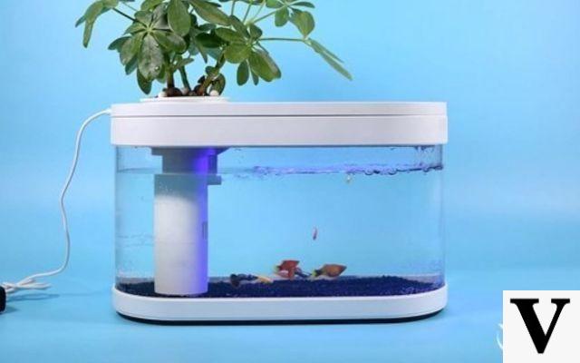 Xiaomi Fish Tank, otro producto inusual de la compañía china