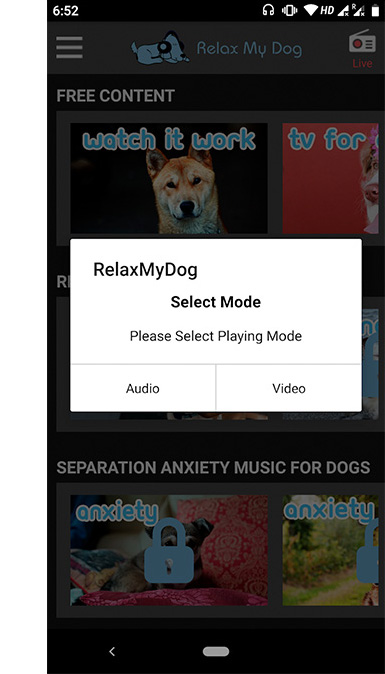 14 apps para cuidar perros con tu smartphone